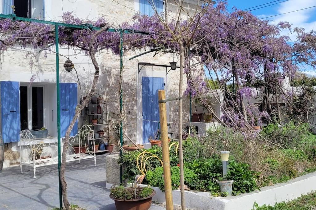 Location Appartement Dans Mas Provencal Monteux Luaran gambar